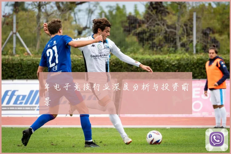 年电子竞技行业深度分析与投资前景